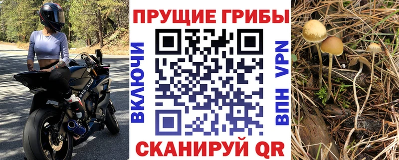 Псилоцибиновые грибы ЛСД  Балей 